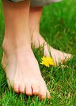 Bare Foot On Grass