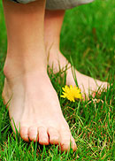 Bare Feet On Grass