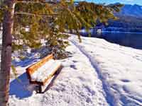 Lakeside Bench in Snow