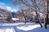 Winter Scene By Lake