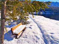 Winter Scene By Slocan Lake